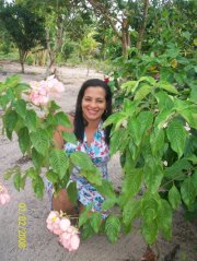 Maria Sodré  Sodré