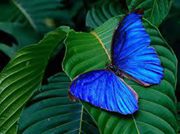 Stella  Trejos Trejos