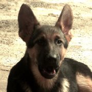 Víctor Efrain  Muñoz