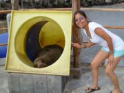 Karla  Salazar Vélez