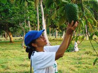 Jacqueline Cristina  Rodriguez Arriaga