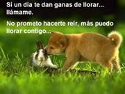 Deysi  Juarez Ruiz