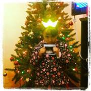 Francisco Xavier  Madera Maldonado