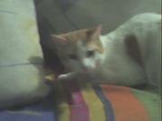 Mary  Miranda Martinez