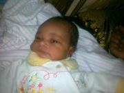 Tariq Ibrahim ElTahir