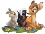 DIANA  BARCIA MUÑIZ