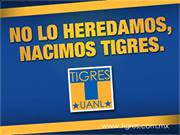 Jose Jesus  Lopez Castañeda