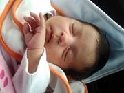 David Alejandro  Duerto Rosero