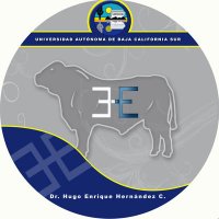 Hugo Enrique  Hernandez