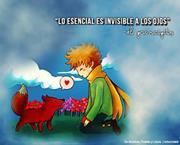 Elvira  Palacios Cruz