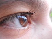 Anita Maria Candia Palma