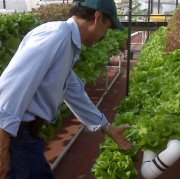 Biol Jose Luis Ramirez Woolrich