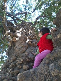 Maria Elena Mendez Valdeavellano