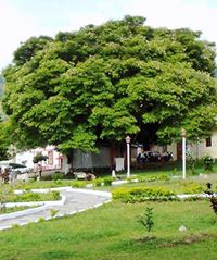 Israel  Montaño Renteria 