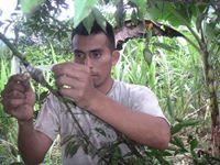 Franklin Geovany  Borja Guaman