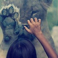 Viviana Roman Suarez