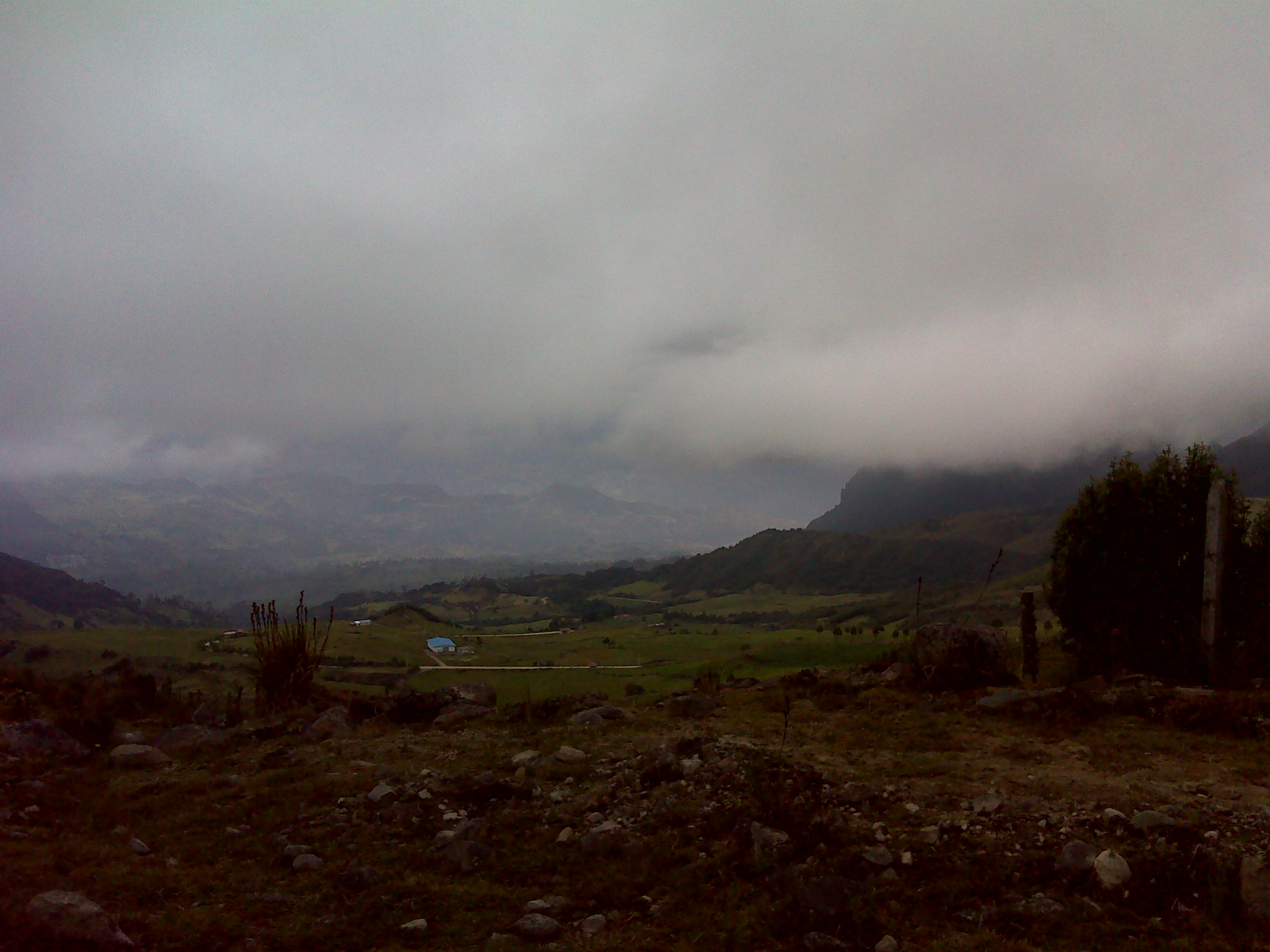 Pablo Calle Peñaherrera 