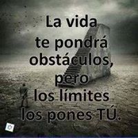 Técnico Reparaciones Cardone