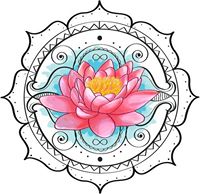 Cattaleya  Fortis Valere