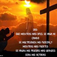 Sandra Patricia  Rojas Rodriguez