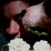 Martha Maria  Dias Gibaldi Dos Santos