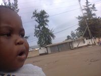 Fungai Fabiao  Rodha