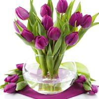 Yessica  Cortegana Alvino