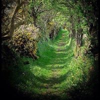 Silvio Jose  Francisco