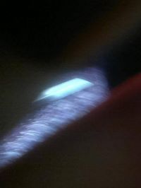 Rosalino Miguel  Domingos