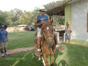 Alex  Salcedo Molina