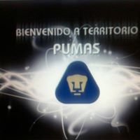 Aristides  Hernandez