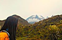 Carolina  Alvarez Rodriguez