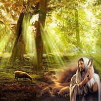 Sterling  Guzman Rivas