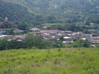 Marlon  Salgado Zambrano