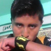 Alvaro Eduardo  Castillo Gutierrez