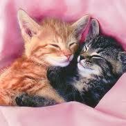 Tania Johanna  Arias Sichaca