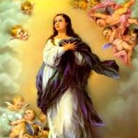 Elza Barbosa Bazarimaculadaconceição