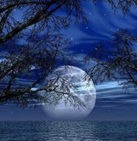 Armando  Rodriguez Sanchez