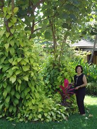 Mirian Amparo Tobar Galarza