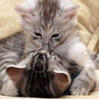 Anna Julya  Terra Mota