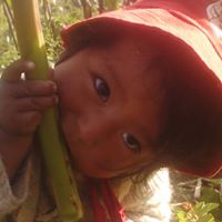 Jhonatan  Medina Chauca