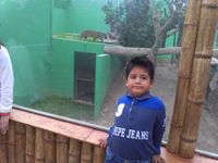 Natalia  Rumiche Anton