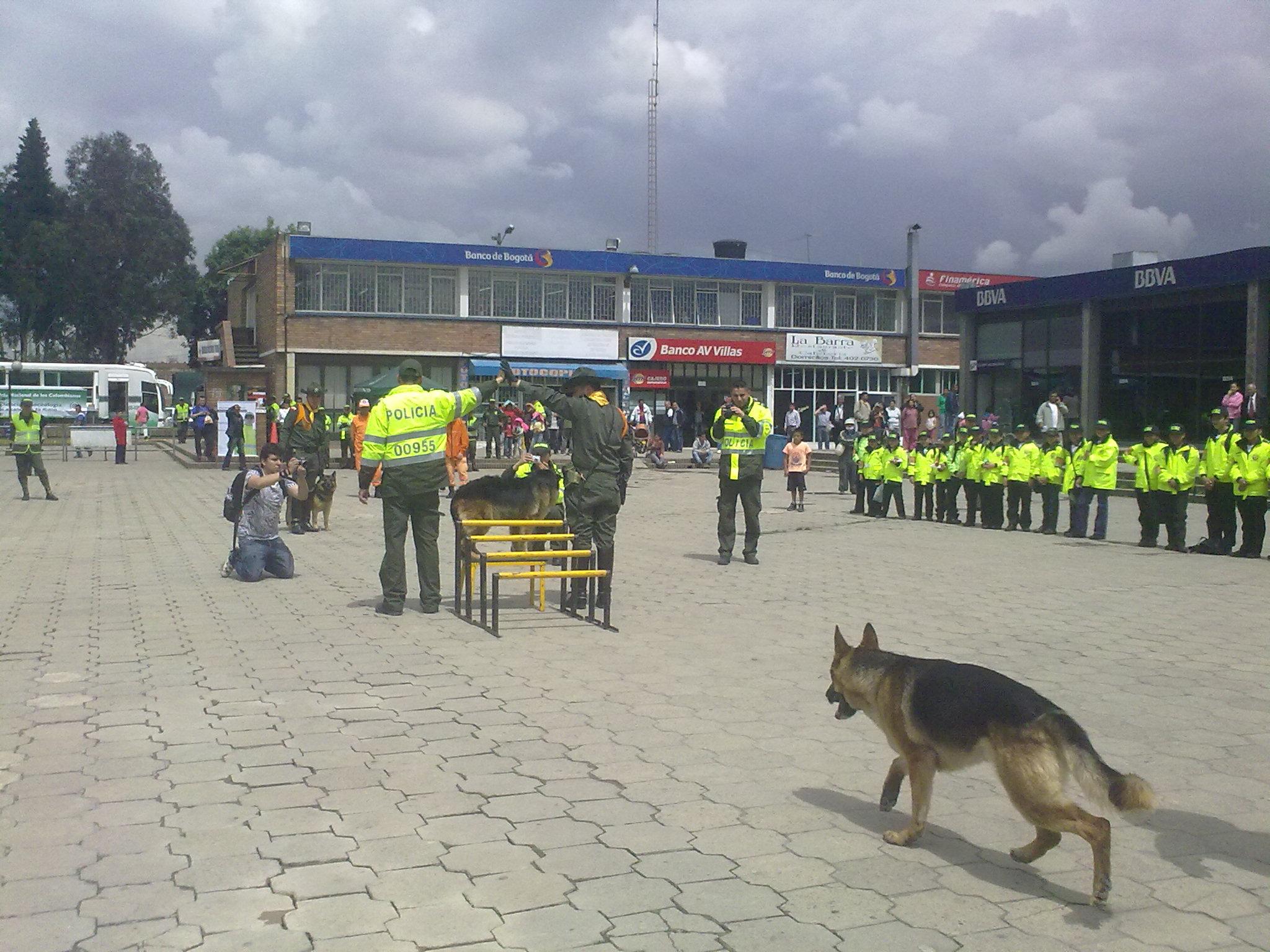 Jesus Emilio Hernandez Niño