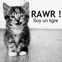 Camila Torres Del Real