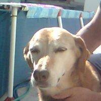 Maria Ester  Maldonado