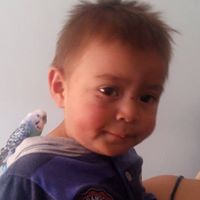 Albeiro  Pulido Rodriguez