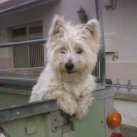 Patricia  García Rodríguez