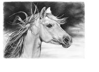 Jose Maria  Gualpa Bautista