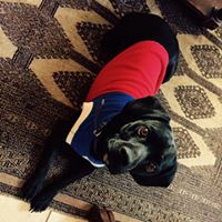 Sandra García Adrovez