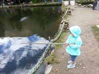 Lissette  Cortez Pexioxa